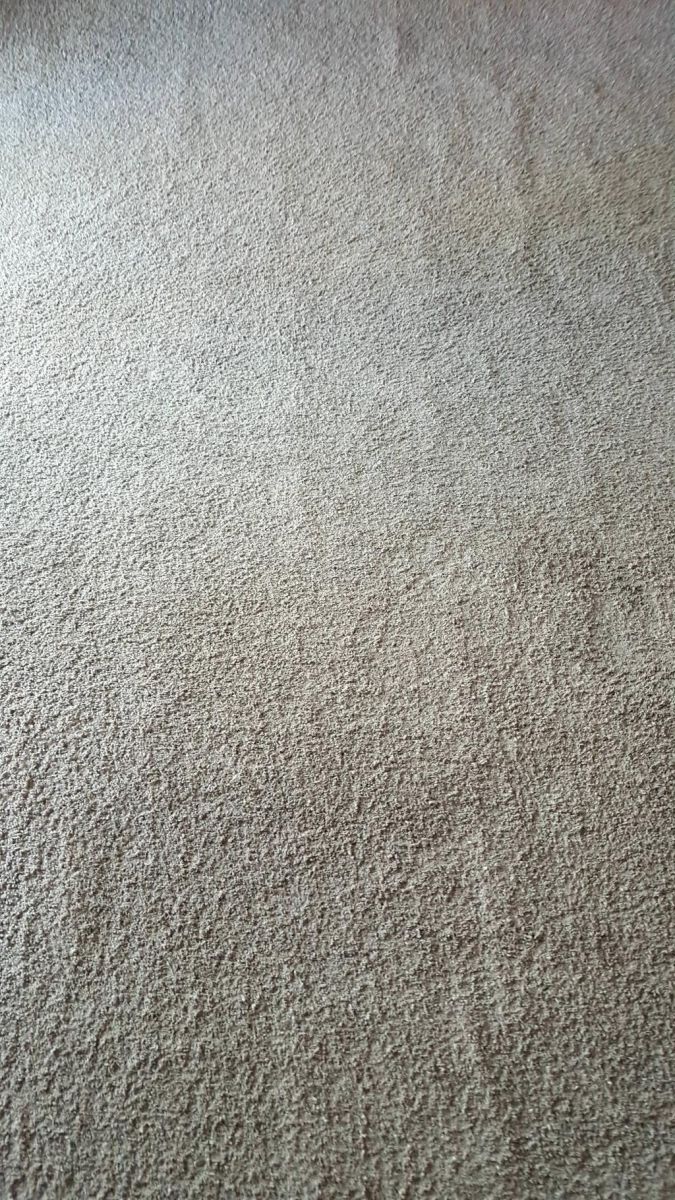 DIY vs. Professional Carpet Cleaning: Pros and Cons