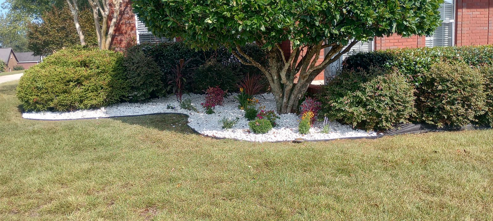 Hardscaping vs. Softscaping: Finding the Perfect Balance for Your Property