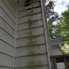 Bat-Removal-in-Lawrenceville-GA 8