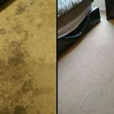 Carpet-Cleaning-in-Louisville-KY 0