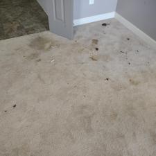 Huntsville-AL-Carpet-Cleaning 2