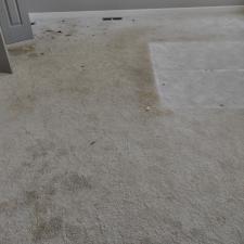 Huntsville-AL-Carpet-Cleaning 0